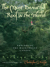 The most beautiful roof in the world exploring the rainforest canopy